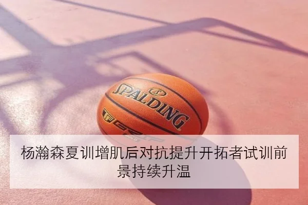 杨瀚森夏训增肌后对抗提升开拓者试训前景持续升温
